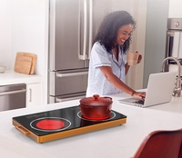 Table de cuisson à induction électrique portable commerciale 2200W, alimentée par énergie solaire/batterie, options de modèles OEM à gaz à chauffe rapide pour usage domestique