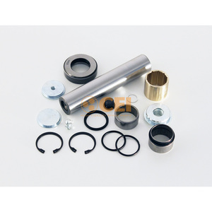 Kit di riparazione, Perno di sterzo Adatto per RENAULT TRUCKS (R.V.I.) 230.139 Perno Centrale - Product Image 1
