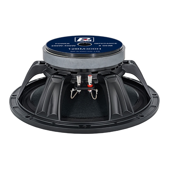 Professional 12 Inch Mid-bass 8 Ohm 400 Watt Passive Aluminium Speaker Driver for Stage & Outdoor Use