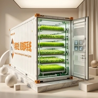 Serres agricoles intelligentes clés en main à plusieurs travées avec système de culture hydroponique de légumes à LED complet