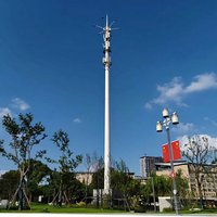 Farol Decorativo LED para Jardín Exterior, Poste de Lámpara Galvanizado en Caliente Q235B Q355B, Altura Personalizada, Cantidad Personalizada, para Avenida