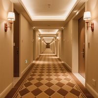Tapis en laine d'usine, hall de luxe, hôtel haut de gamme 5 étoiles, tapis tissé Axminster