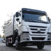 Venta Global de Camiones Volquete HOWO de 10 Ruedas, Todo Tipo, Bien Recibidos, Buen Estado, Motor Weichai Euro 3, Volante a la Izquierda, Diésel