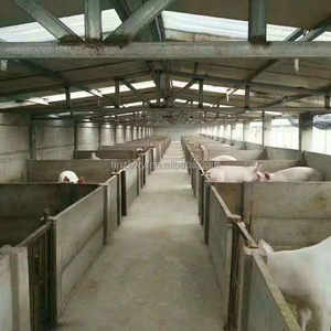 เสาคอนกรีตสำเร็จรูปอัตโนมัติรับน้ำหนักได้สำหรับการก่อสร้างรั้วผนังคอนกรีต - Product Image 5