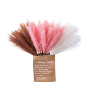 CallaFloral – Fleur artificielle en roseau de pampa à tige unique, blanc, rose, noir, gris, beige, marron foncé, pour décoration intérieure, mariage, usage domestique - Product Image 5