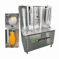 Nieuwe verticale automatische fruit- en groenteschilmachine voor pompoen, watermeloen, cantaloupe, kokosnoot - voor thuisgebruik, hoge productiviteit