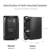 Haut-parleur mural HIFI CS-5 100W WiFi 5.4 Airplay DLNA pour la maison et l'extérieur