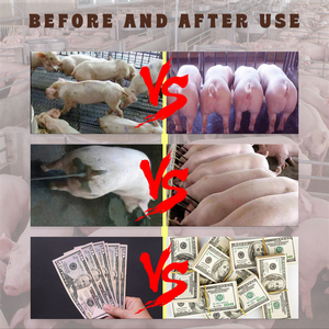 <strong>Pig</strong> <strong>Growth</strong> and Weight Gain Promoter <strong>Pigs</strong> Quick Grow Product Vitamin Booster - Product Image 2