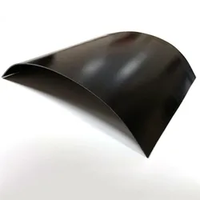 Géomembrane HDPE sur mesure, épaisseur personnalisée, imperméable, anti-UV, écologique, pour l'aquaculture, les étangs à poissons, les fermes de crevettes en extérieur, les barrages