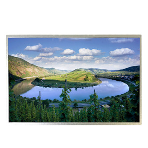 B131EW01 V0 Módulo LCD nuevo y económico de 13,0 pulgadas, pantalla LCD TFT de 1280*768 para ordenador portátil - Product Image 1