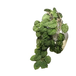 Feuille de Monstera Artificielle Tianhe District Donghui Flower Royal Flower, Guirlande de 30cm à 100cm en Plastique pour Décoration Maison et Mariage - Product Image 5