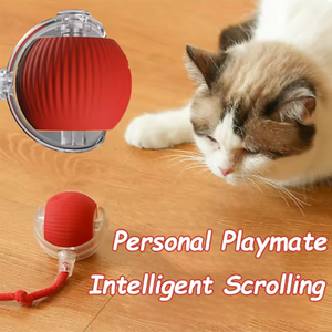 Jouets pour animaux de compagnie électroniques, balles pour chat qui taquinent automatiquement le chat, bâtonnets et tiques pour chat qui s'auto-éprouvent et résistent à l'usure - Product Image 4