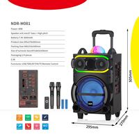 Enceintes de fête sans fil TWS NDR-M081 8 pouces rechargeables RGB 40W avec prise en charge USB, TF, BT, TWS, FM pour Karaoké
