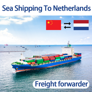 Đầy Đủ <span class=keywords><strong>Container</strong></span> Giao Hàng Dịch Vụ Vận Chuyển Để Châu Âu 20ft 40ft FCL Vận Chuyển Đường Biển Để Antwerp Rotterdam Amsterdam Bỉ - Product Image 6