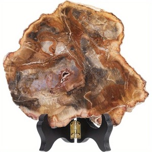 Fossili <span class=keywords><strong>di</strong></span> Legno Pietrificato: <span class=keywords><strong>Lastre</strong></span> <span class=keywords><strong>di</strong></span> Cristallo Grezzo Lucidato all'Ingrosso per Sottobicchieri - Product Image 1