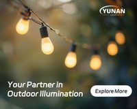 Guirlande lumineuse extérieure IP65 de 5 m (16,4 pieds) pour mariage et patio, ampoules LED Edison S14 suspendues, guirlandes lumineuses à fils, E26 E27
