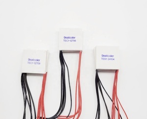 Nhiệt Cooler <span class=keywords><strong>20</strong></span>*<span class=keywords><strong>20</strong></span> Mm <span class=keywords><strong>Peltier</strong></span> Mô-đun TES1-04903 - Product Image 6