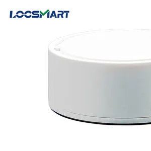 स्मार्ट Locsmart R5 IBeacon आईओएस एंड्रॉयड के लिए Chipet Ble 5.0 बीकन