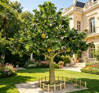 Qing Yuan Künstlicher Durian-Baum Realistische Dornen & Früchte Großhandel Outdoor LED-Lichtbaum Wasserdicht
