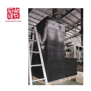 Pannello Sandwich Strutturale in Plastica a Nido d'Ape con Superficie in Melamina Effetto Legno per Decorazione Murale - Product Image 4