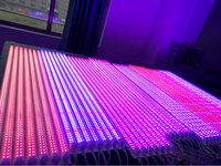 Tubes de culture à LED 2ft 3ft 4ft Commercial Planting Bar Tube à LED pour la culture des fruits en fleurs