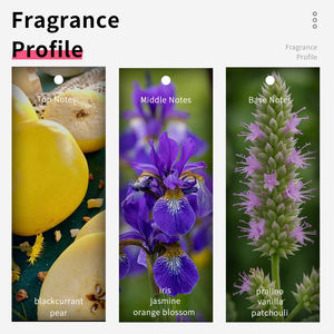 VILILY 38ml Perfume Floral Frutal Gourmand para Mujer, Mini Perfumes de Marca Original, Perfume Árabe para Mujer - Product Image 4