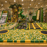 Grande aire de jeux intérieure pour enfants sur le thème de la jungle, piste de karting, montagnes russes, mur d'escalade, toboggan tubulaire, trampoline, piscine à balles pour centre commercial