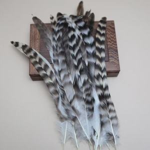 Piume di <span class=keywords><strong>gallo</strong></span> chinchilla grigie per decorazioni e <span class=keywords><strong>costumi</strong></span> da ballo - Product Image 1