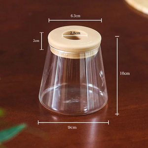 Pot de fleurs hydroponique transparent en plastique durable, léger, moderne, pour usage domestique, personnalisable - Product Image 2