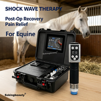 Équipement de thérapie par ondes de choc pour chevaux, design de boîte portable personnalisable, machine de rééducation par ondes de choc pour chevaux, pour usage domestique