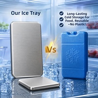 Bac à glaçons réutilisable en acier inoxydable 304, durable, pour randonnée, camping, pique-nique, plaque de refroidissement pour congélateur, blocs de glace