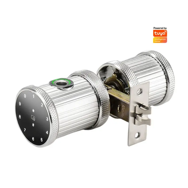 Wholesale Price Smart Home Waterproof Electric Door Lock with Tuya APP Control