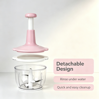 Hachoir manuel portable en plastique à lame, pour légumes et ail, sans BPA, pour usage domestique, vente en gros