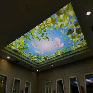 Căng Trần PVC Thạch Cao Ban Vinyl Phải Đối Mặt Với Trần Giả Với Trần T Lưới - Product Image 3