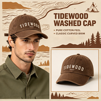 Casquette de baseball en coton lavé TIDEWOOD avec broderie de lettres, style rétro classique, pour homme et femme