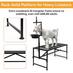 <span class=keywords><strong>Support</strong></span> de traite pour chèvres avec bac à alimentation, poteau réglable pour moutons, plateforme de coupe de sabots pour toilettage et tonte, équipement d'élevage - Product Image 5