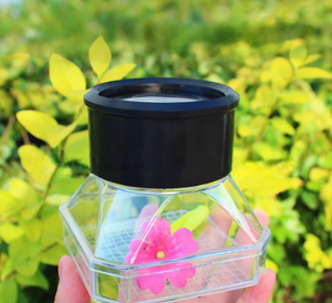 Boîte d'observation des insectes pour enfants, dispositif de rangement, loupe à main pour petits animaux - École primaire, sciences biologiques - Product Image 2