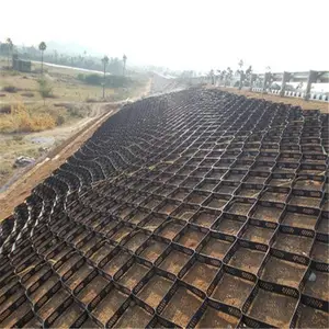 Factory price geocell floor for road rigid gravel stabilizer ground grid driveway high value