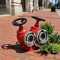 Hydrant d'incendie intérieur à double sortie SNSS65 de 2,5 pouces en fonte ductile rouge 1,6 MPa pour la protection incendie des bâtiments