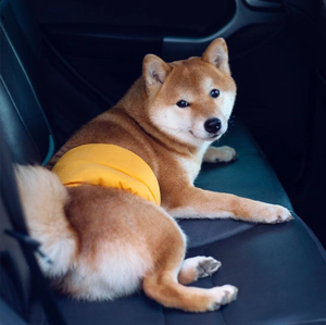 Bandes de ventre pour chiens doux lavables pour animaux de compagnie couches pour animaux de compagnie bande de ventre pour chiens mâles enveloppes de ventre pour chiens mâles réutilisables pour animaux de compagnie jaune vert - Product Image 2