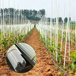 Venta al por mayor varilla de fibra de vidrio de alta resistencia pequeño arco cobertizo tubo construcción agrícola fibra de vidrio soporte corte personalizado - Product Image 4