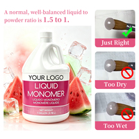 Monomère EMA en gros à faible odeur et pinceau acrylique sans MMA 120 ml – Liquide monomère pour poudre à ongles 3D
