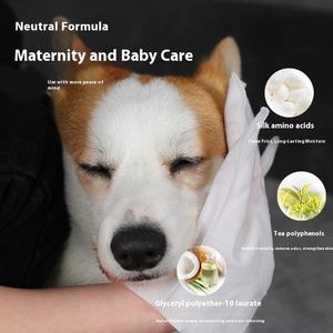 Kimpets Kit com 8 Lenços Umedecidos Descartáveis Ecológicos e Luvas Sem Enxágue para Banho e Desodorização de Cães em Todas as Estações - Product Image 3