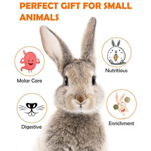 Venta al por mayor de China Timothy Hay Treats Rabbit Toys Bunny Toys <span class=keywords><strong>Guinea</strong></span> Pig Toys Masticables naturales - Product Image 4