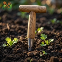 Alat Tanam dari Baja Anti Karat yang Tahan Lama, Pegangan Kayu Bentuk T, Penanam Umbi, Sarung Tangan Berkebun, Alat Kebun Manual OEM untuk Penyemaian