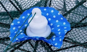 Lưới cá hình dù gấp gọn, lưới vây đơn ngoài trời, lưới bắt tôm cá chép, lưới đánh cá - Product Image 3