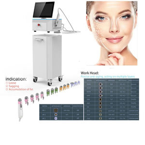 Machine de lifting facial RV à <span class=keywords><strong>prix</strong></span> d'usine, machine de raffermissement de la peau du visage pour l'élimination des vergetures - Product Image 3