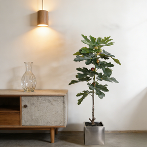 Ficus Artificiale in Plastica per Interni, Pianta di Ficus Banyan di Alta Qualità per Matrimoni e Cerimonie di Laurea - Product Image 1