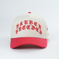 Casquettes de baseball respirantes en tissu Oxford Dobby à 5 panneaux, logo personnalisé, bicolores, été