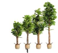 ต้นมะเดื่อปลอมทำจากพลาสติกและไม้ขนาด180ซม. สำหรับตกแต่งในร่ม - Product Image 4